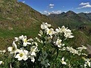 Laghi e Monte Ponteranica-Monte Avaro dai Piani-6giu22- FOTOGALLERY